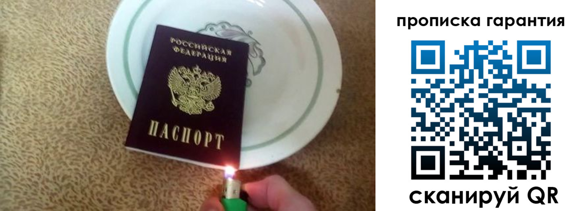 прописка гарантия в Гатчине